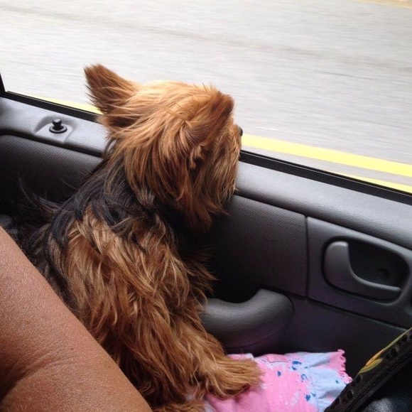 💕 Thinking of things mommy can sell. 💕 - Picture 1 of 1